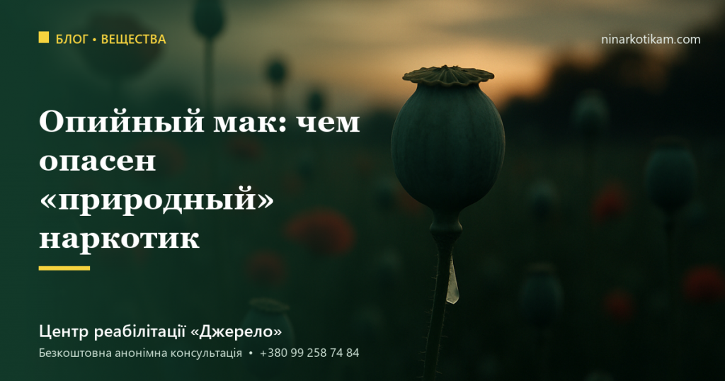 Опийный мак: чем опасен «природный» наркотик