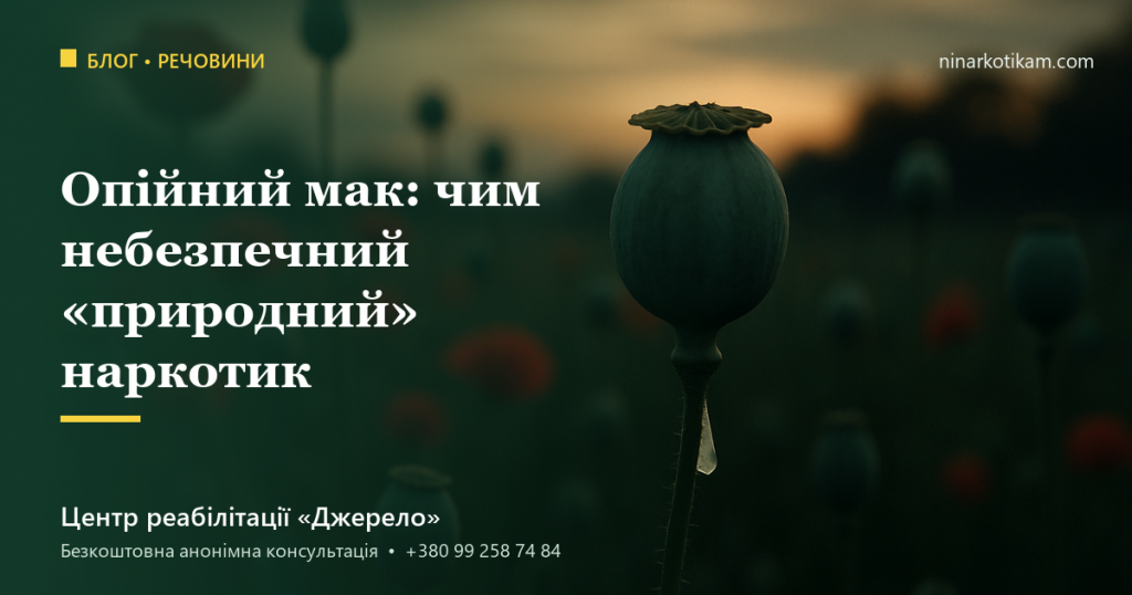 Опійний мак: чим небезпечний «природний» наркотик