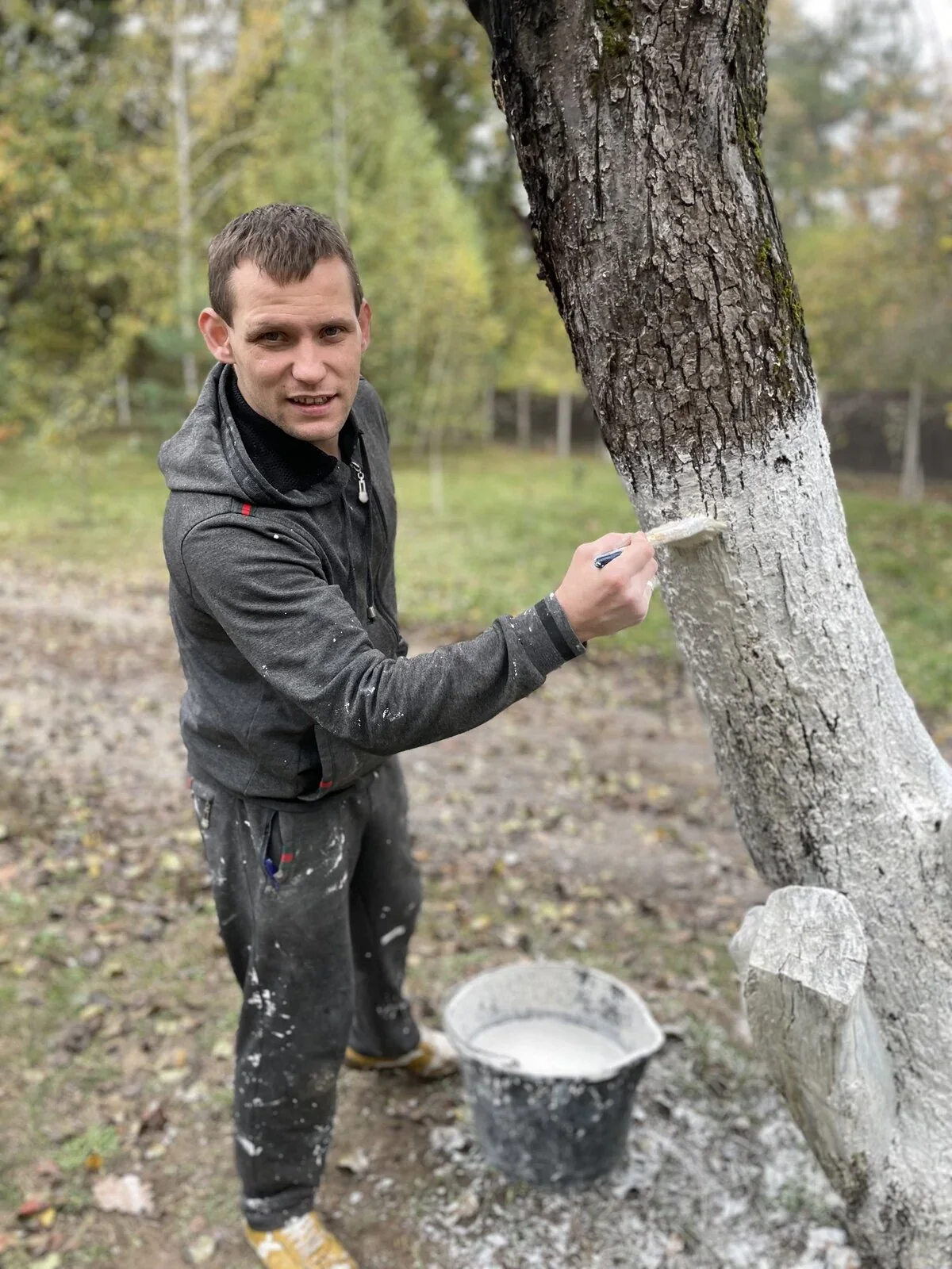 Участник программы белит ствол дерева кистью